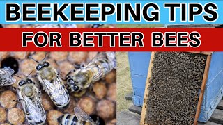 Beekeeping Tiny Management Techniques That Make A Huge Difference [upl. by Joachima]