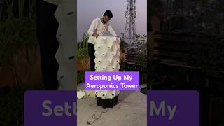 छत पर बिना मिट्टी पौधे उगाओ Unboxing amp Setting Up a PineappleShaped Aeroponics Tower [upl. by Abrahan]