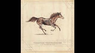 Turnpike Troubadours  Unrung  A Long Way From Your Heart [upl. by Tito688]