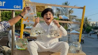 Ali ko itni sari new Fish 🐠 Dilwa Di 😱  First time sharq Fish 🐟 Dekhi 😳 [upl. by Lamrouex681]