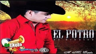 El Potro de Sinaloa  A Mi Estilo  ALBUM [upl. by Aleel]