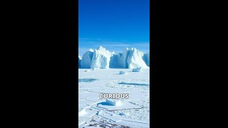 Unveiling Antarcticas Hidden Secrets shorts facts curiousfacts nature [upl. by Yale]