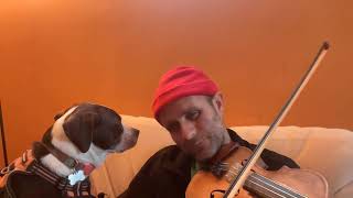 Fiddle Tune a Day 109366  Black Eyed Susie [upl. by Christianson]