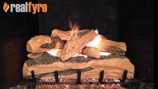 Real Fyre Split Oak Designer Plus Gas Logs Live Burn Video – eFireplaceStore [upl. by Pedersen]