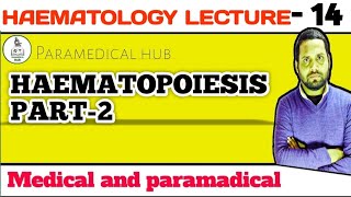 LECTURE 14 HAEMATOPOIESIS PART2SITE OF HAEMOPOIESIS YOLK SAC BONE MARROWLIVER AND SPLEEN [upl. by Eulaliah]