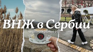 Сколько стоит ВНЖ в СЕРБИИ через ИП в 2024 году [upl. by Trinetta]