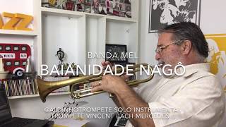 Baianidade Nagô aldinhotrompete interpreta solo instrumental cover Banda Mel [upl. by Papp]