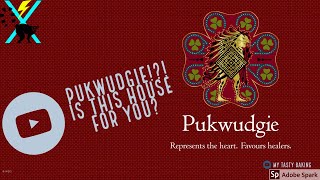 Sorting Hat on Pottermore Ilvermorny How to get Pukwudgie [upl. by Anyah]