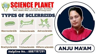 TYPES OF SCLEREIDS II SCLERENCHYMATOUS TISSUE II PLANT ANATOMY II BY ANJU MAM [upl. by Parrott]