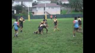 Pakuranga Kingz Vs papatoetoe Panthers 1st half [upl. by Moody705]