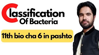 Classification of bacteria  Classes of proteobacteria  11 bio cha 6 in pashto [upl. by Dlanod334]