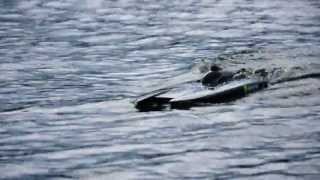 Catamaran R2 Silver Fox 36quot Twin Power 115 kmh Not Top Speed Crash [upl. by Adalard]