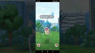 112324 Mighty Pokémon DOUBLE GYARADOS in the Wild pokemon pokemongo pikachu gyarados shorts [upl. by Myk915]