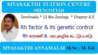 12 Bio Zoology  Chapter 4 3  Rh factor and erythroblastosis foetalis [upl. by Archy]