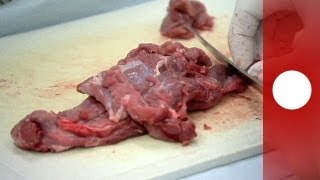 Conclusions amères après les tests sur la viande bovine en Europe [upl. by Ariaec877]