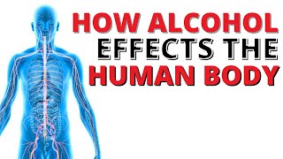 Alcohol Effects on the Human Body  Explained [upl. by Buiron]