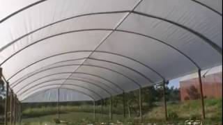 Agricultores de Ibirama investem em cultivo protegido [upl. by Patnode490]