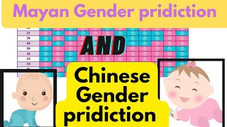 Chinese Gender pridiction And Mayan Gender pridiction in Telugu anshitha AA family [upl. by Gnouv40]