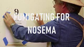 Fumigating for Nosema [upl. by Niroc377]