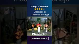 Pombinha Branca um Clássico da Música Sertaneja [upl. by Nosyt187]