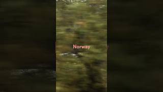 Norway From Trondheim to Hamar [upl. by Kernan]