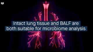 Determining the appropriate sample types for a mouse model of acute lung injury [upl. by Conah]