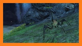 Guild Wars 2  Cave Spider Pet Locations [upl. by Erdied]