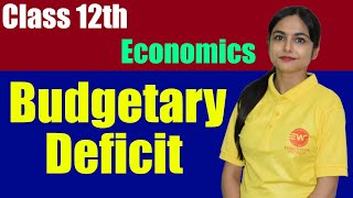 Budgetary Deficit  Economics  Class 12th [upl. by Vescuso149]