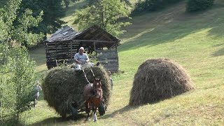 Romania Transylvania Hay Camp 2015 Part 3 [upl. by Gautea]