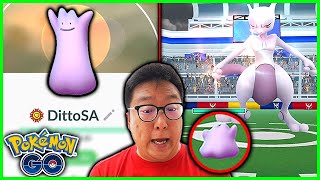 What Happens If We Use a Max Level Ditto Against Mewtwo in Pokemon GO [upl. by Nnylear]