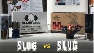 Who Has The Best Slug Hornady or Black Aces [upl. by Gentry]