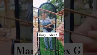 The strings are overreacting 🗿 cover guitar acousticguitar acousticcover mary guitarcover [upl. by Nixie]