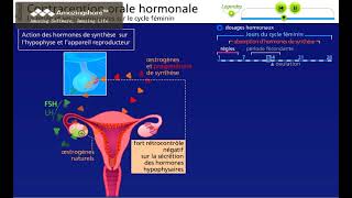 Mode daction de la pilule combinée contraception hormonale [upl. by Mariquilla428]