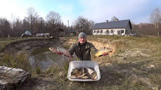 ВЫРАЩИВАЮ НЕ ТОЛЬКО ПОРОСЯТ и ОВЕЦ НО И РЫБУ МОЯ ЖИЗНЬ в ГЛУХОЙ ДЕРЕВНЕ на КРАЮ ЛЕСА №324 [upl. by Einaj]