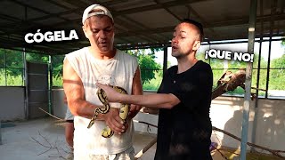 ¡XOKAS con pelo en EL SANTUARIO de FRANK ft PLEX 🐍 [upl. by Sara-Ann]