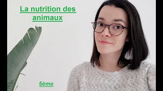 La nutrition des animaux  5ème  Madame SVT [upl. by Atrice]