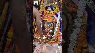 Ujjain Mahakal Ravivar bhasm Aarti  bhasm aarti video  bhasm Aarti status mahakalstatusshort [upl. by Annavoeg9]