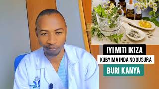 DORE IMITI NUBURYO BUGUKIZA INDWA ZO KUBYIMBA MUNDA NO GUHORA USURA BURI KANYA [upl. by Philly979]