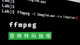 ffmpeg实用教程：7 音频转码指南 [upl. by Eads]