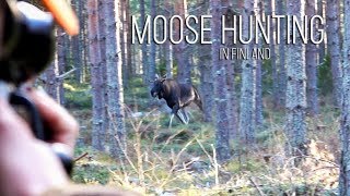 NH Hirvijahti  Moose Hunting  2018 [upl. by Octave362]