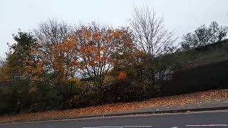 Nechells Autumnscape November 1st 2024 Autumn 🍂 🍂 🍂 [upl. by Leunad]