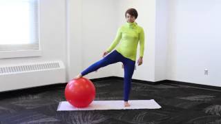 31 Days of Fitness Adduction amp Abductors with Stability Ball [upl. by Nillek]