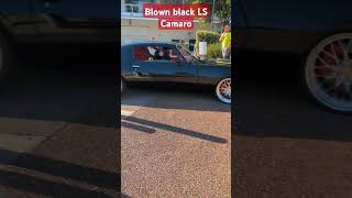 Black blown LS powered Camaro shorts shortvideo youtubeshorts [upl. by Ottinger59]