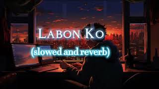 Labon ko slowed  reverb  kk  bhool bhulaiya  lofi [upl. by Anires]