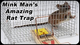 Mink Mans Amazing Rat Trap  How To Catch The Smartest Trap Shy Rats Mousetrap Monday [upl. by Manup]