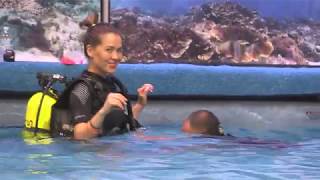 Learning to Scuba Dive at the Scuba Show 2019 [upl. by Ecenaj458]