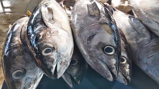 Fantastic 🔥🔥 The amazing skill of cutting tuna quickly in a traditional fish market [upl. by Somerset]