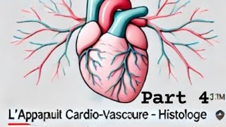 la 1ère cours d histologie 2eme année médecin blida 💗 part 4 [upl. by Trauner]