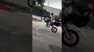 Like an subscribe bikelife dirtbike wheelie share goviral shorts trending 10ksubscribers [upl. by Annibo]