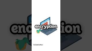 Encryption 🔐💻🚀Day 7 of posting Informative YouTube Shorts 💙encryption cscodecrafters techtalk [upl. by Orgel]